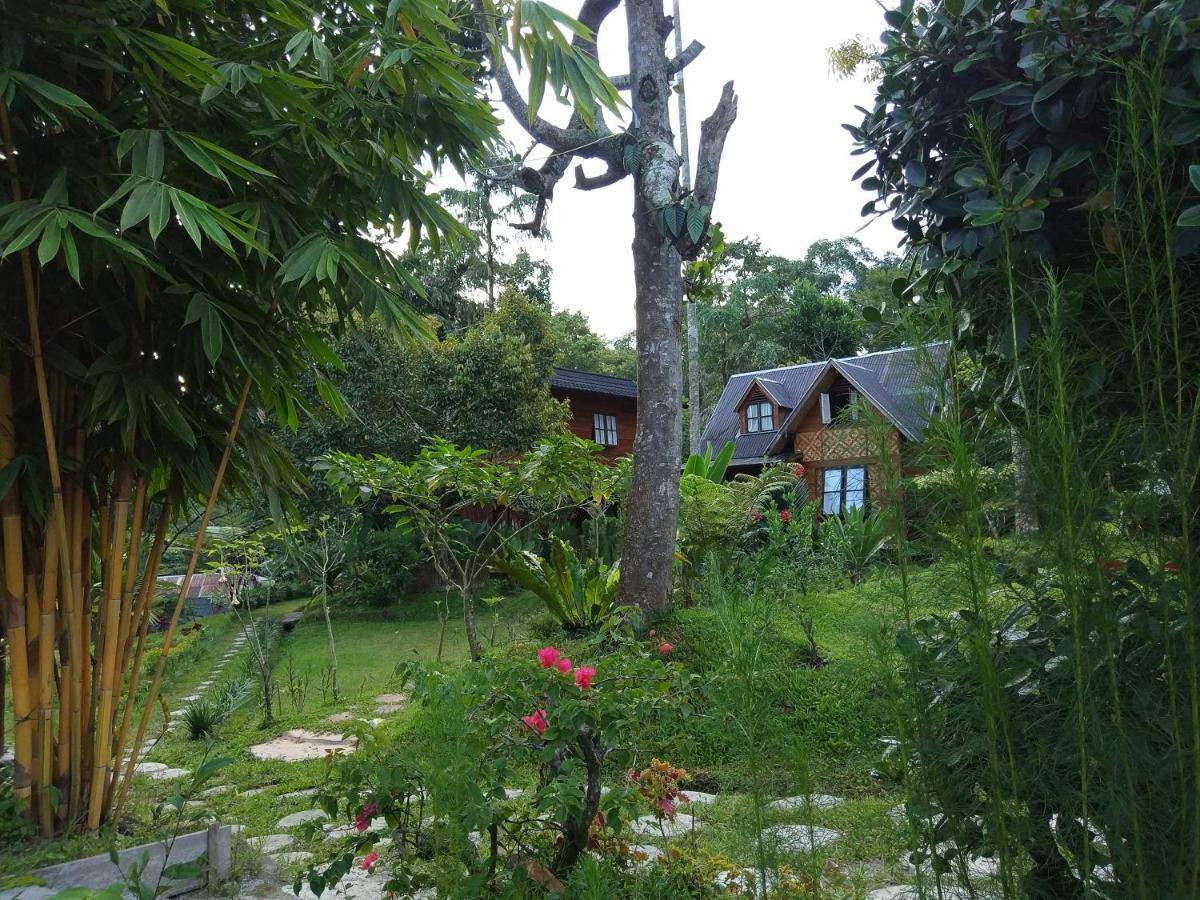 Canyon Jungle Stay Bukittinggi Exteriör bild