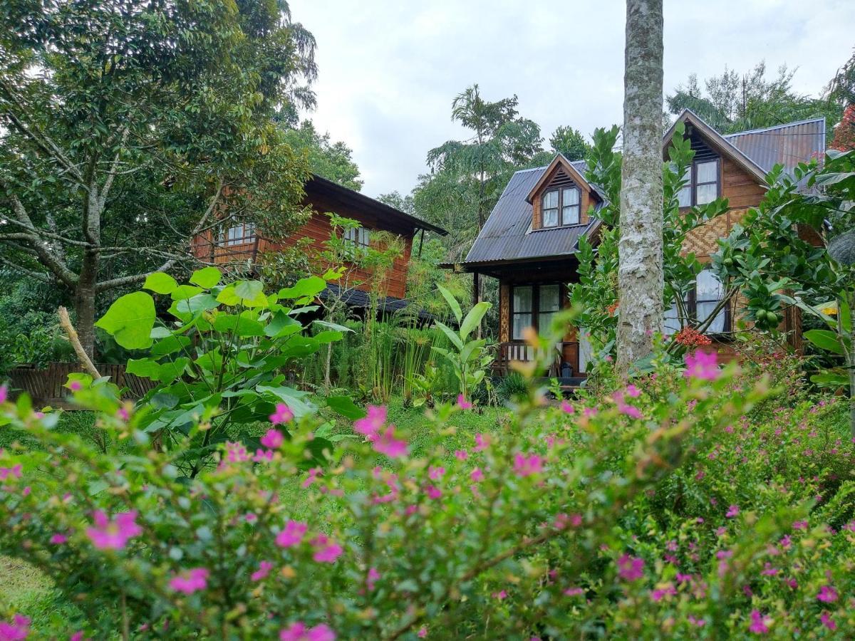 Canyon Jungle Stay Bukittinggi Exteriör bild