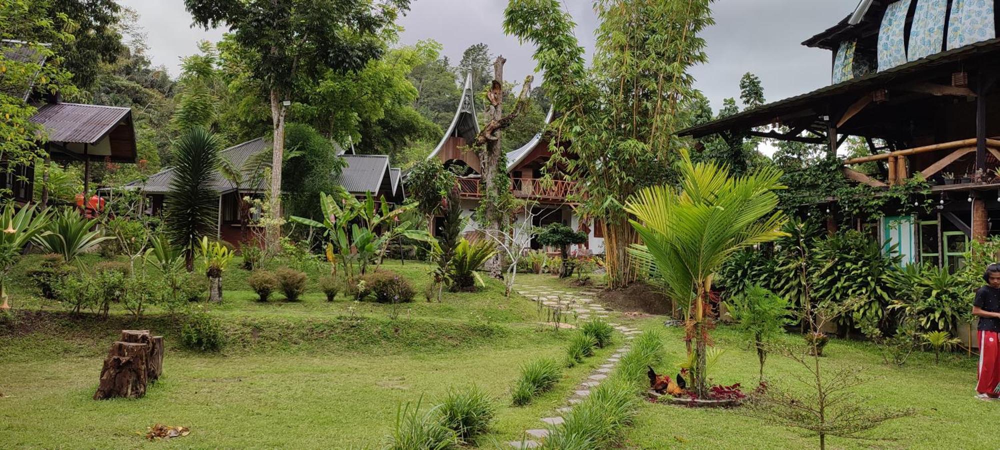 Canyon Jungle Stay Bukittinggi Exteriör bild