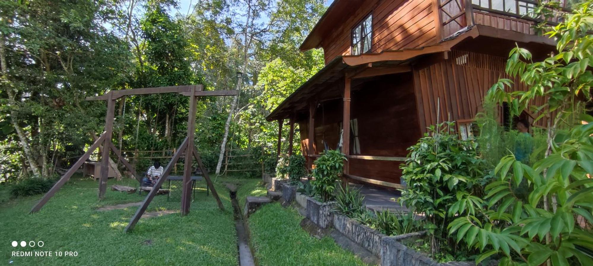 Canyon Jungle Stay Bukittinggi Rum bild