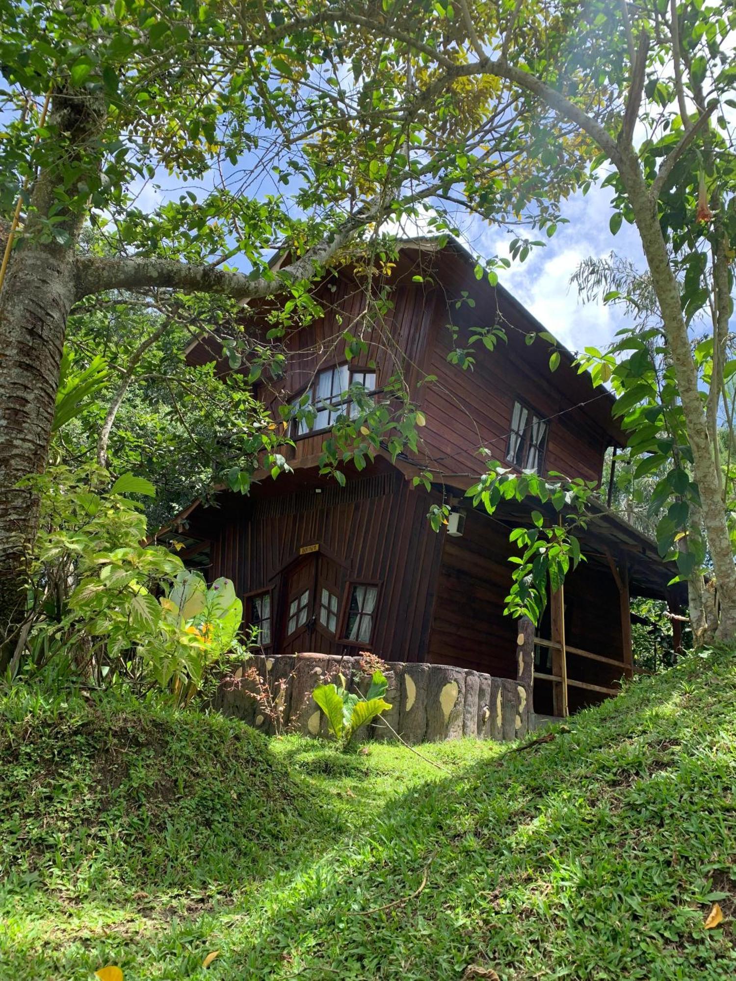 Canyon Jungle Stay Bukittinggi Exteriör bild