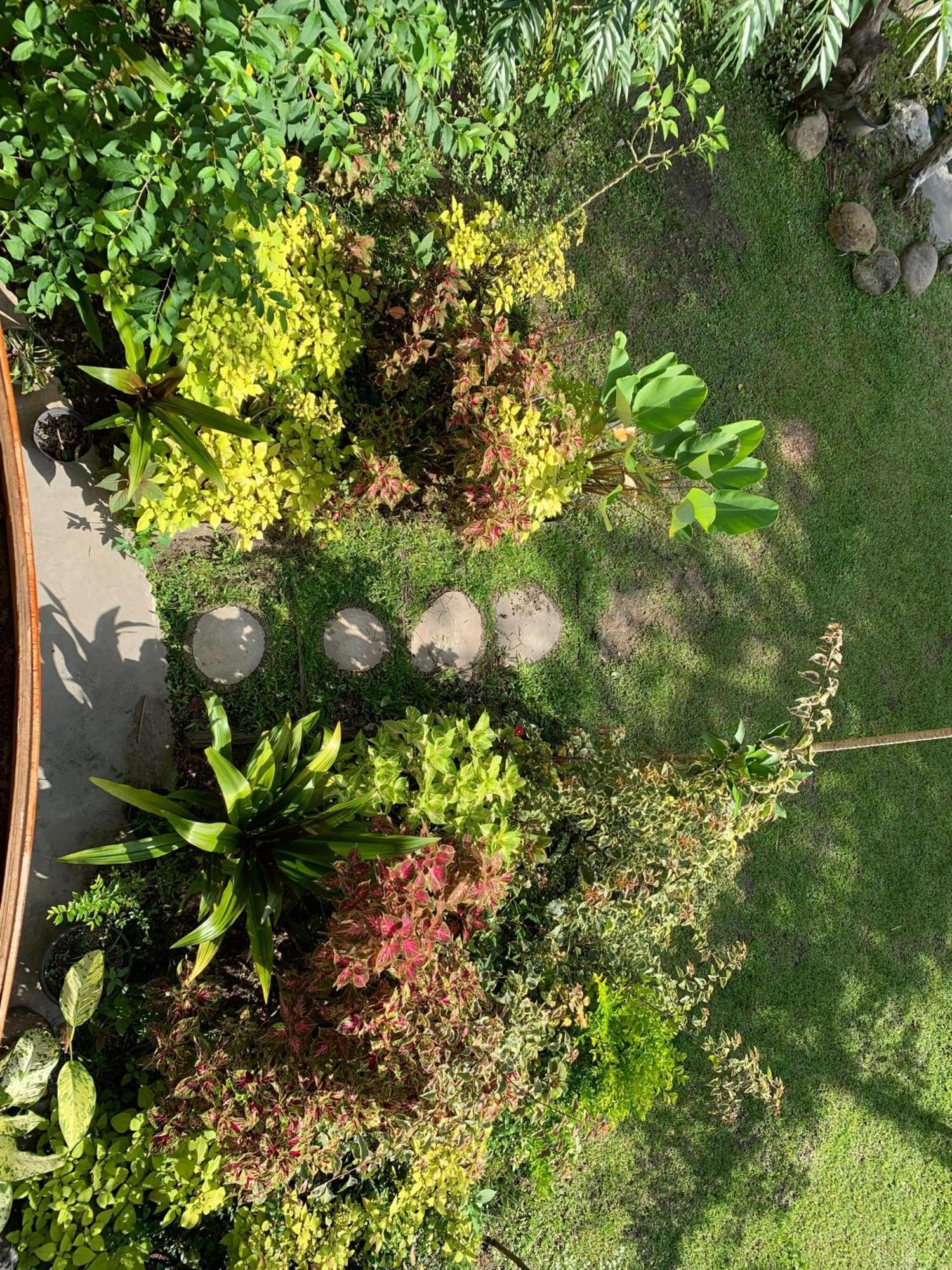 Canyon Jungle Stay Bukittinggi Exteriör bild